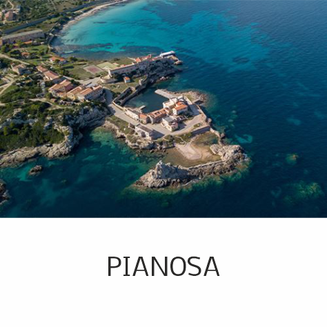 PIANOSA-1