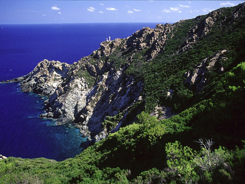 gorgona-sl1