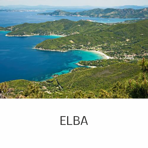 ELBA-1